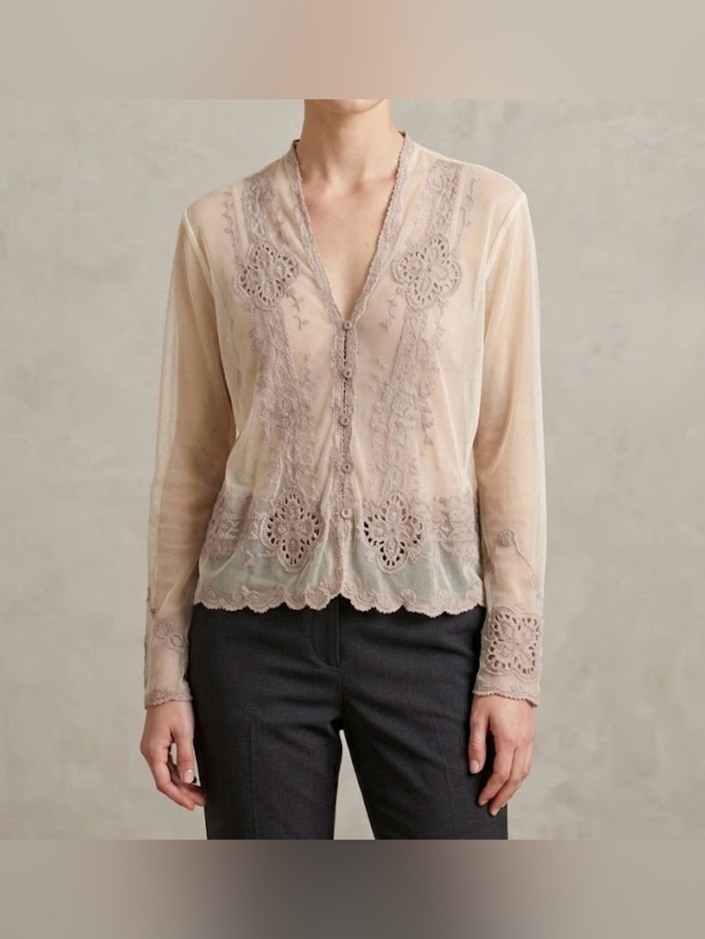 J Jill Womens Vintage Embroidered Lace Sheer Mesh Button Cardigan Beige Size XSP